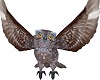 ole wise owl