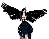 Raven Queen Wings