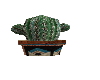 A SMALL CATUS