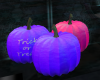 Purple and Pink Pumpkins