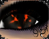Orange Dragon Eyes