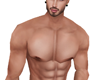 Muscular Body Liam