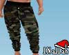 CAMUFLAGEM PANTS