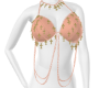 CHARM 1