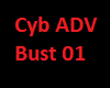 Cyb ADV Bust 01