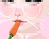 Bunny Carrot >_<