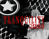 tranquility base banner.