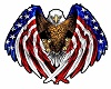 Eagle USA  2
