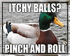 Itchy Balls Song