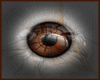 [MAR]Brown realistic eye