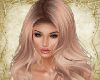 Bundle RL