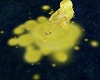 Yellow Slime Puddle