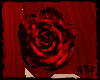 Red rose for hair
