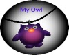 (OD) My Owl-Purple