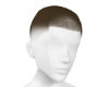 brown fade