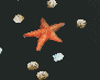 GP*Sea star mermaid