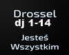 Drossel-Jestes wszystkim