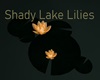 Shady Lake Lilies