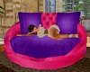 Pink & Purple Cuddle cha