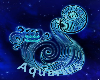 Aquarius Zodiac