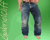LowRise Blue Jean