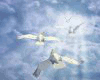 Pillows "nuage"