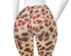 Gia Cheetah LLT