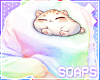 +Cat Set Rainbow