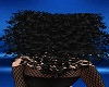 
🦱​Hair Afro