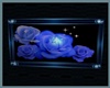 cSc Blue Rose