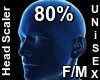 F/M Head Scaler 80%