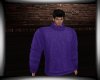 *Purple Sweater