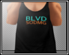 BLVD SODMG Tank