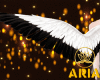 Ari. Angel Wings