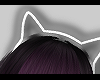 ヨネ. White Cat Ear