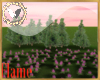 Pink lavender field