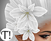 T! White Hair Flower