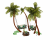 Lifes a Beach Palm Swing