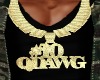 #10 Qdawg Chain