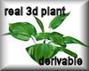 real 3d green leaf plant