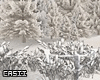 Winter | Photoroom