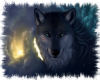 Wolf Moon