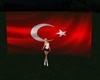 Y*Türk Bayrağı [Flag]