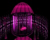Cage Club Pink