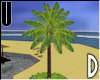 UD Palm Tree
