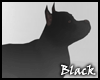 BLACK pitbull