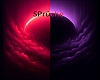 Sprüche