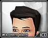 ICO Waynes Hair