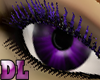 DL: Lashes Purple