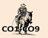 Cowboy Off